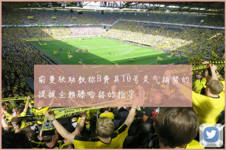 前曼联助教称B费具10号灵气梅努的提拔全赖滕哈赫的指导