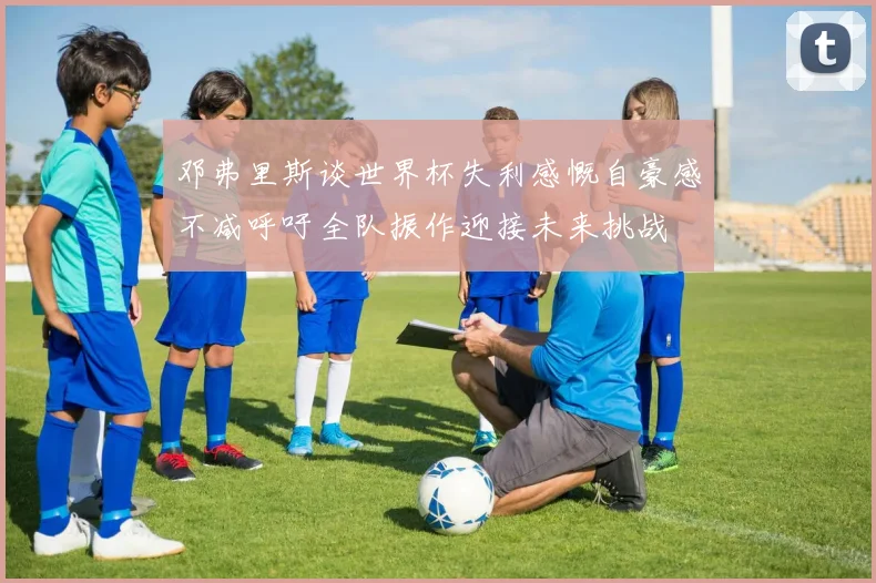 邓弗里斯谈世界杯失利感慨自豪感不减呼吁全队振作迎接未来挑战