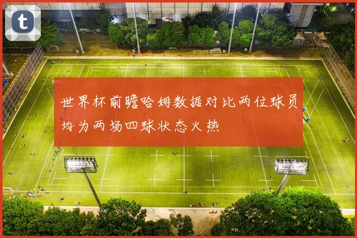 世界杯前瞻哈姆数据对比两位球员均为两场四球状态火热