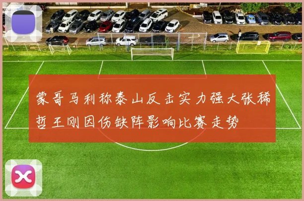 蒙哥马利称泰山反击实力强大张稀哲王刚因伤缺阵影响比赛走势